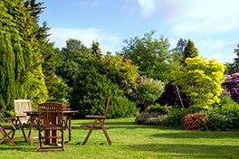 Servizi di giardinaggio Siena Chianti Firenze