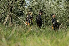 Servizi di giardinaggio Siena Chianti Firenze